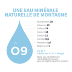 L' EAU NEUVE Eau minérale Brique  - 50 cl x 12
