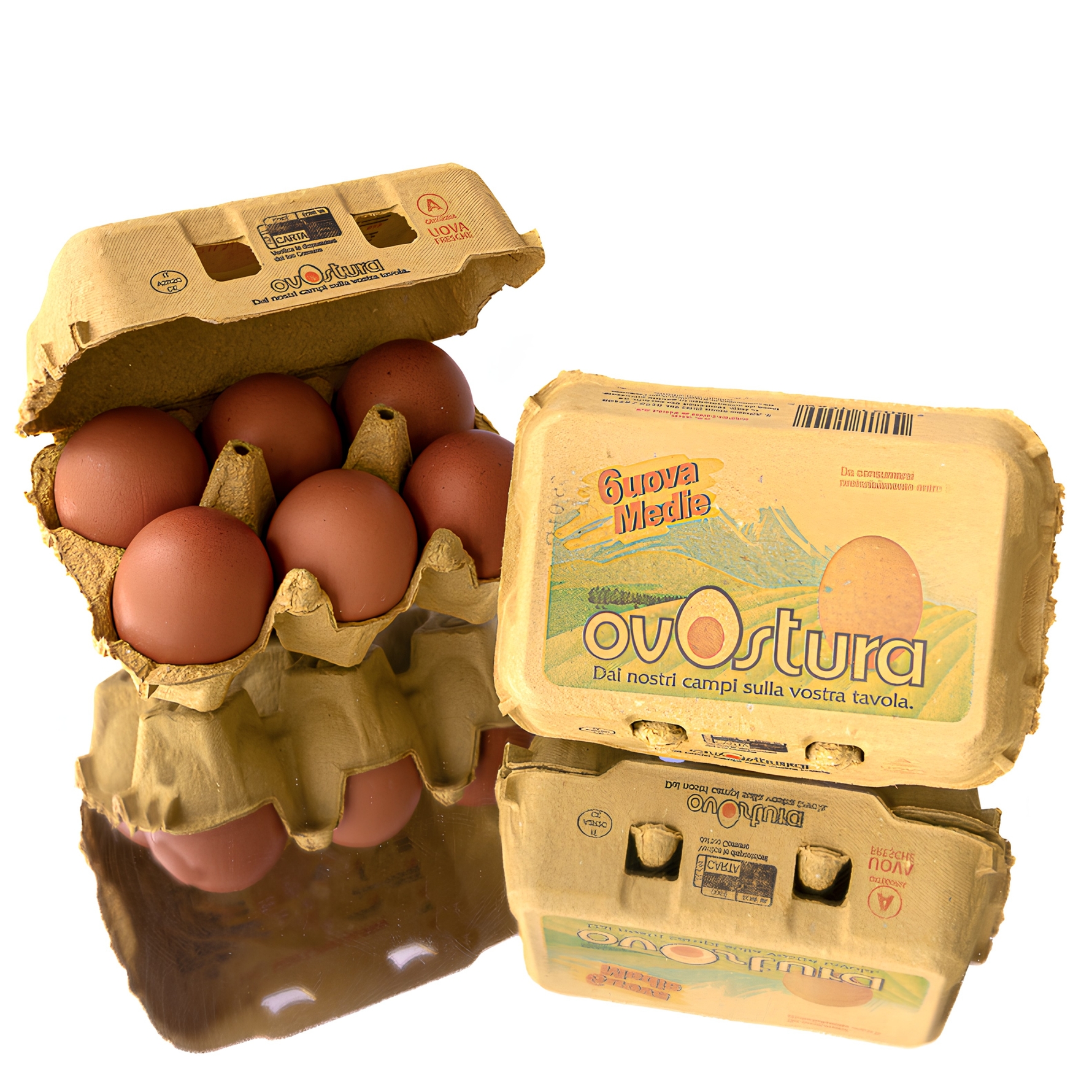 Boite Oeufs Moyens - Ovostura - Boite de 6 Oeufs