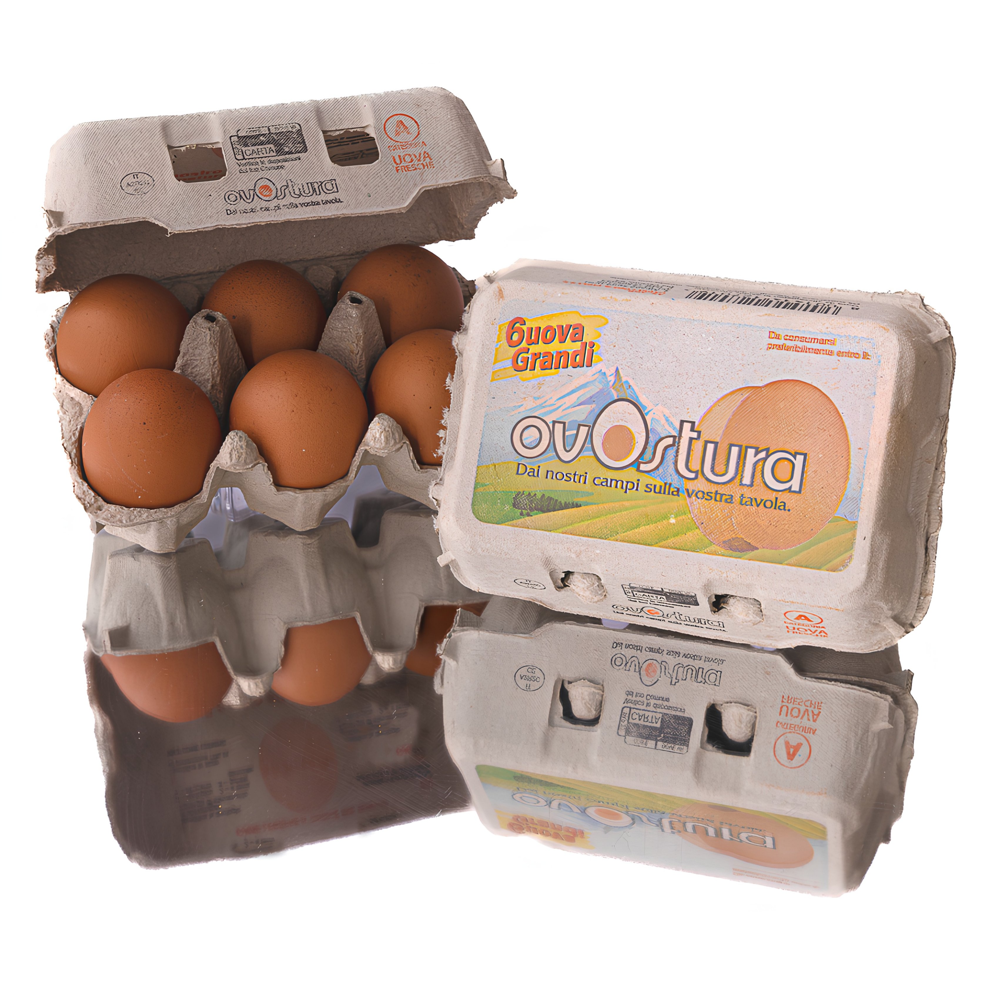 Boite Oeufs Gros - Ovostura - Boite de 6 Oeufs