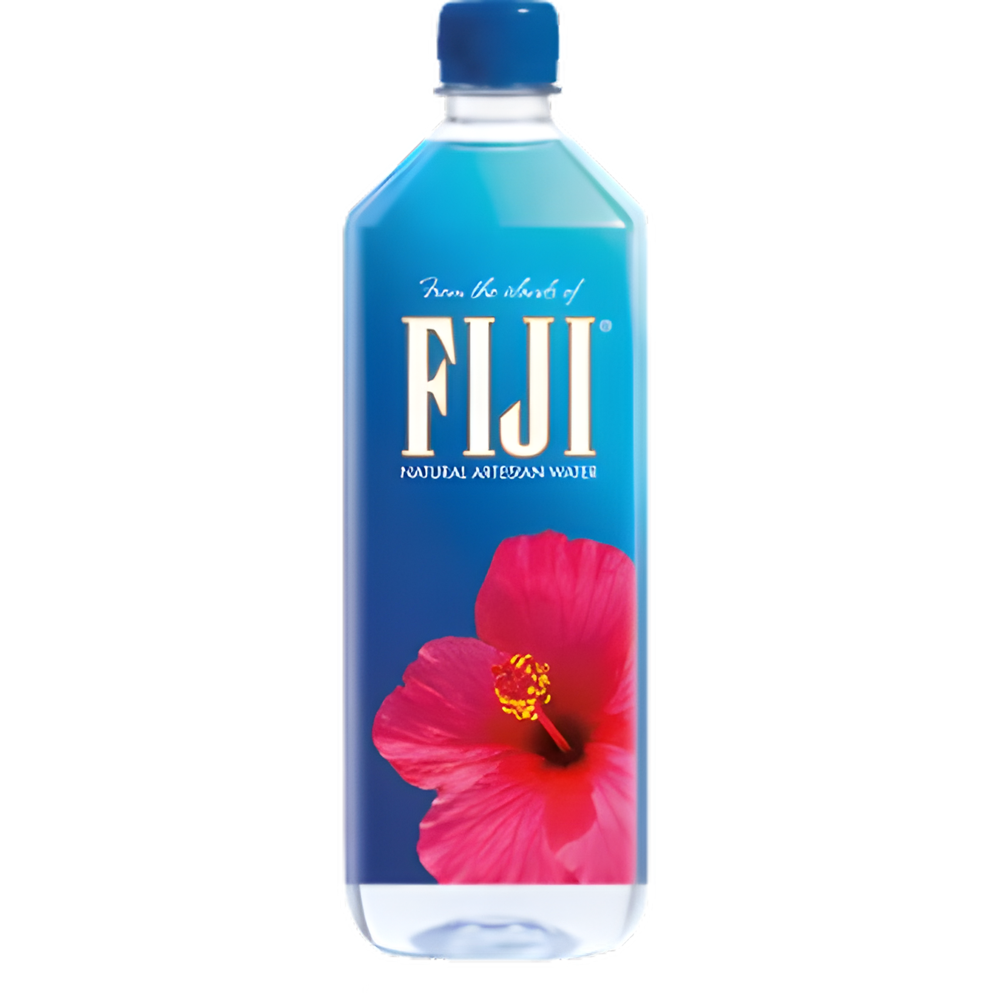 Fiji Pet 1l x 6